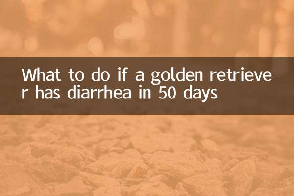 Cosa fare se un golden retriever ha la diarrea entro 50 giorni