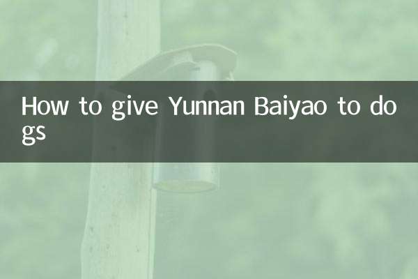 운남백약을 개에게 주는 방법
