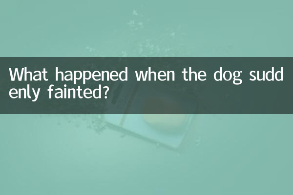 ماذا حدث عندما أغمي على الكلب فجأة؟