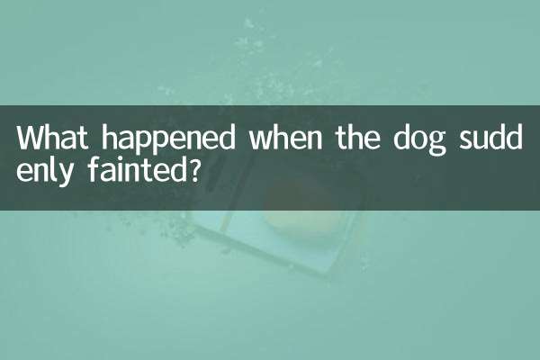 Cosa è successo quando il cane è svenuto improvvisamente?