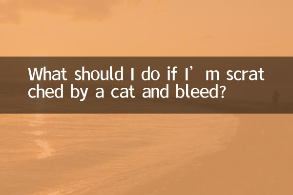 What should I do if I’m scratched by a cat and bleed?