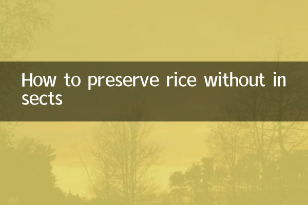 How to preserve rice without insects