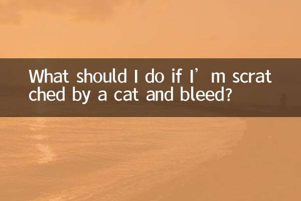 What should I do if I’m scratched by a cat and bleed?