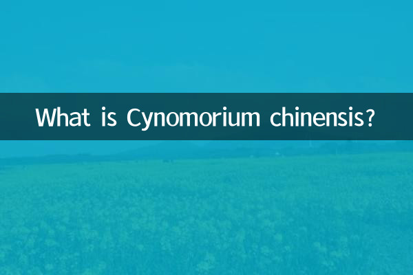 Cos'è il Cynomorium chinensis?