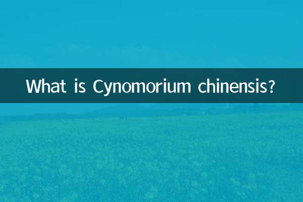 Cos'è il Cynomorium chinensis?