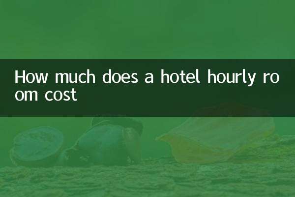 How much does a hotel hourly room cost