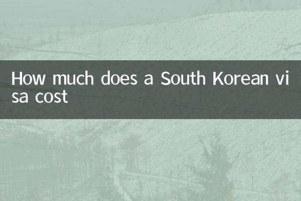 韓國簽證多少錢