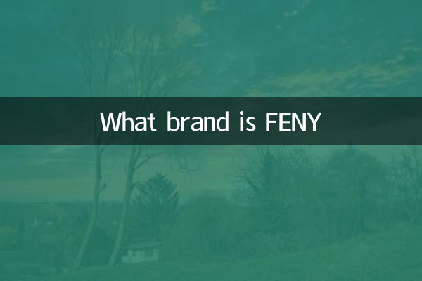 FENY是什么牌子
