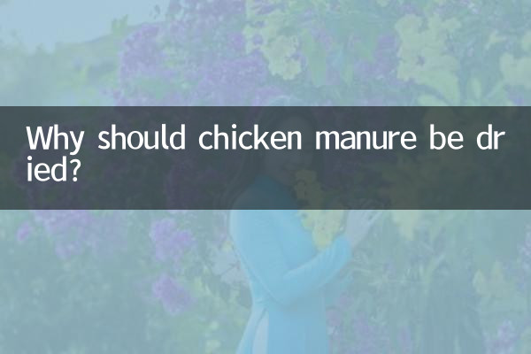Pourquoi faut-il sécher le fumier de poulet ?