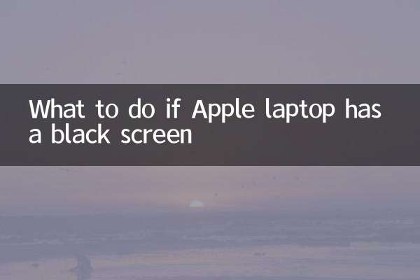 Apple ラップトップの画面が黒い場合の対処方法