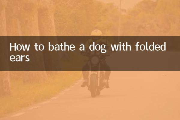 Come fare il bagno a un cane con le orecchie piegate