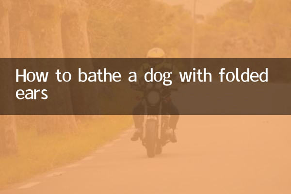 Come fare il bagno a un cane con le orecchie piegate