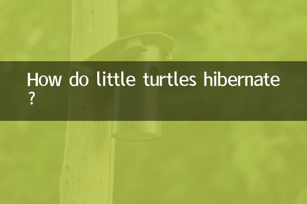 چھوٹے کچھوے ہائبرنیٹ کیسے کرتے ہیں؟