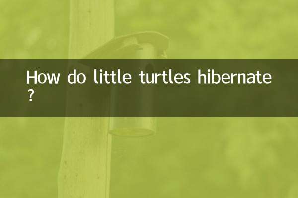 Come vanno in letargo le piccole tartarughe?