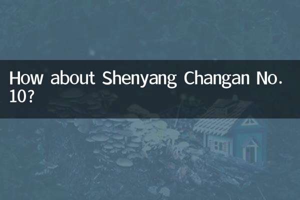 Que tal Shenyang Changan nº 10?