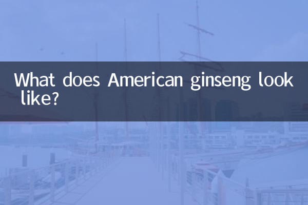 Как выглядит американский женьшень?