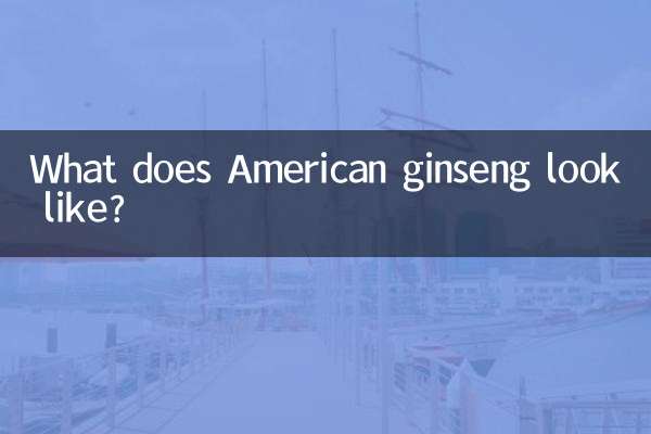 Как выглядит американский женьшень?