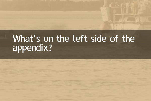 Qu'y a-t-il sur le côté gauche de l'annexe ?