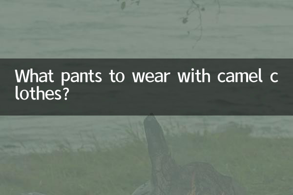 ラクダの服にはどんなパンツを合わせますか?