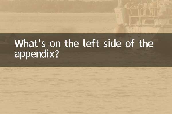 Qu'y a-t-il sur le côté gauche de l'annexe ?