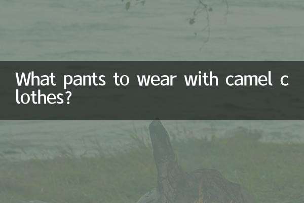 ऊँट के कपड़ों के साथ कौन सी पैंट पहननी है?