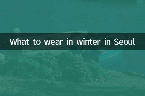 Что носить зимой в Сеуле