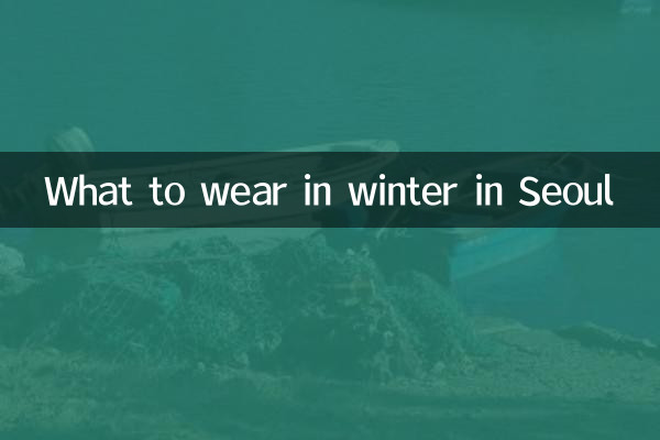در زمستان در سئول چه بپوشیم