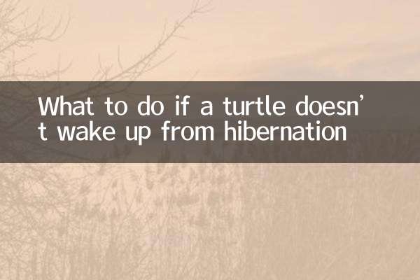 यदि कछुआ शीतनिद्रा से न उठे तो क्या करें?