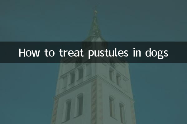 کتوں میں پسولوں کا علاج کیسے کریں