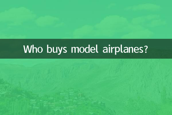 模型飛行機を買うのは誰ですか?