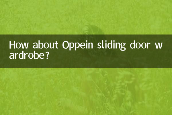Que diriez-vous de l’armoire à portes coulissantes Oppein ?
