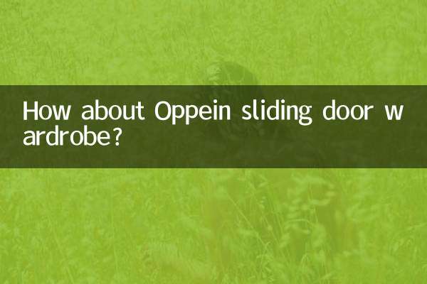 Che ne dici dell'armadio con ante scorrevoli Oppein?