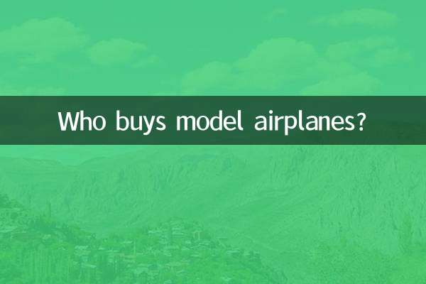 模型飛行機を買うのは誰ですか?