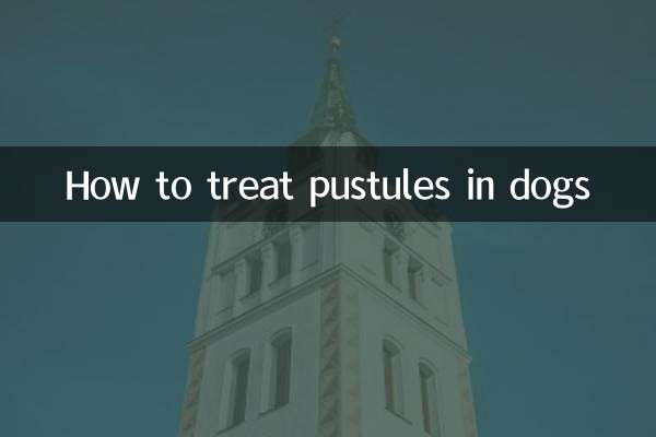 کتوں میں پسولوں کا علاج کیسے کریں