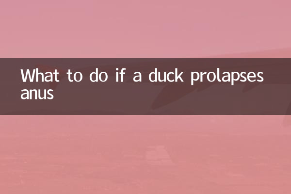 در صورت افتادگی مقعد در اردک چه باید کرد؟