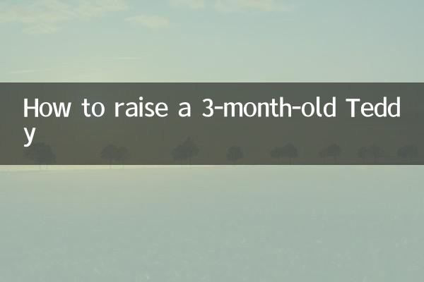 Comment élever un Teddy de 3 mois