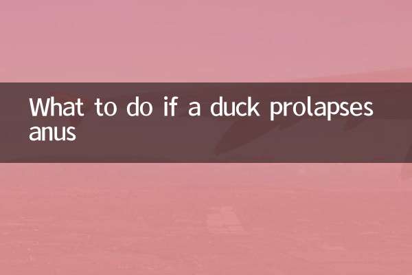 鴨子脫肛怎麼辦