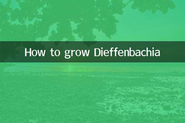 Como cultivar Dieffenbachia