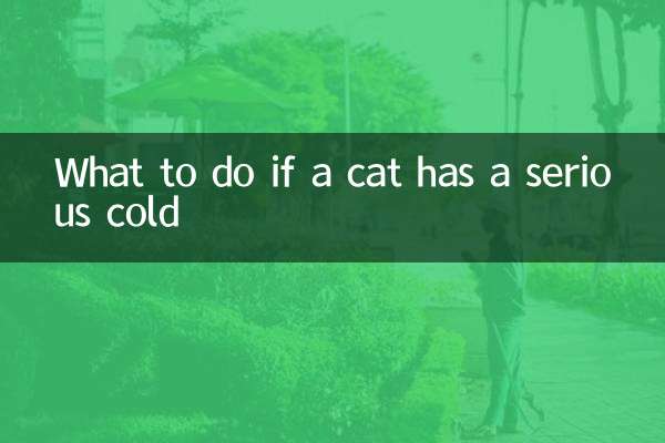 Что делать, если у кошки серьезная простуда