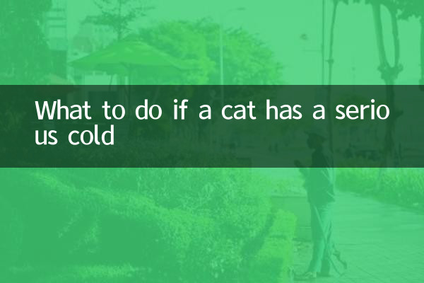 একটি বিড়াল একটি গুরুতর ঠান্ডা হলে কি করবেন?