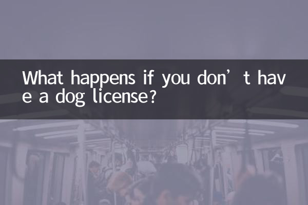 What happens if you don’t have a dog license?