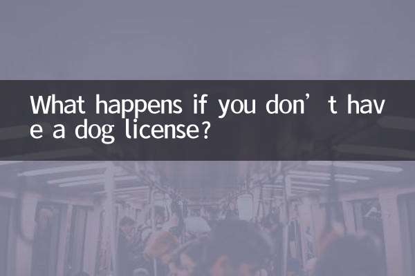 没有狗证会怎么样