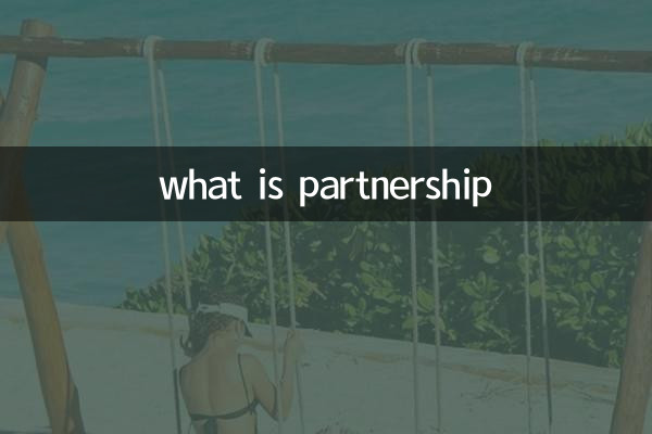 что такое партнерство