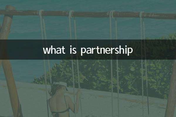 Was ist Partnerschaft?