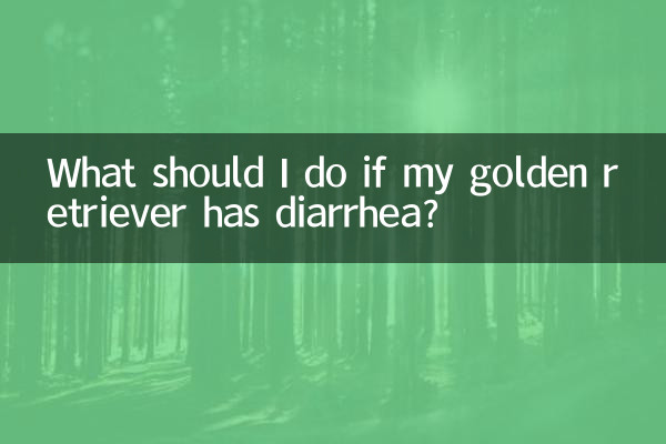¿Qué debo hacer si mi golden retriever tiene diarrea?