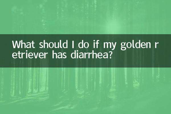 金毛拉肚子了怎麼辦