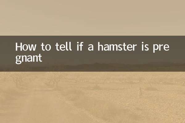 How to tell if a hamster is pregnant