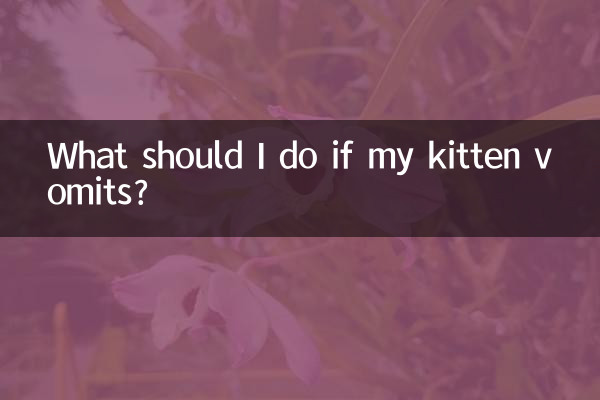 Cosa devo fare se il mio gattino vomita?