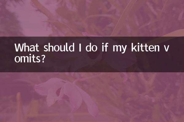 Cosa devo fare se il mio gattino vomita?