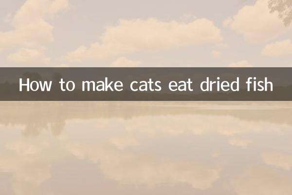 بلیوں کو خشک مچھلی کیسے کھائیں